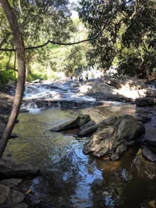 unnamed - 2025-09-21T170451.802